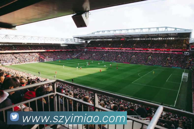 开云app入口注册平台生态图